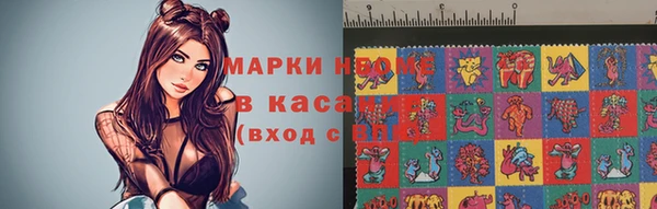 прущие грибы Арсеньев