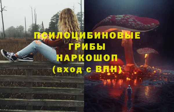 мяу мяу мука Алексеевка