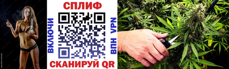 Каннабис семена  Грайворон 